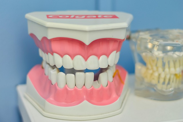 Hygienist Services